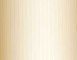 РИБКОРД бежевый