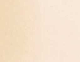 СТАНДАРТ бежевый