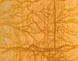 ФРОСТ золото